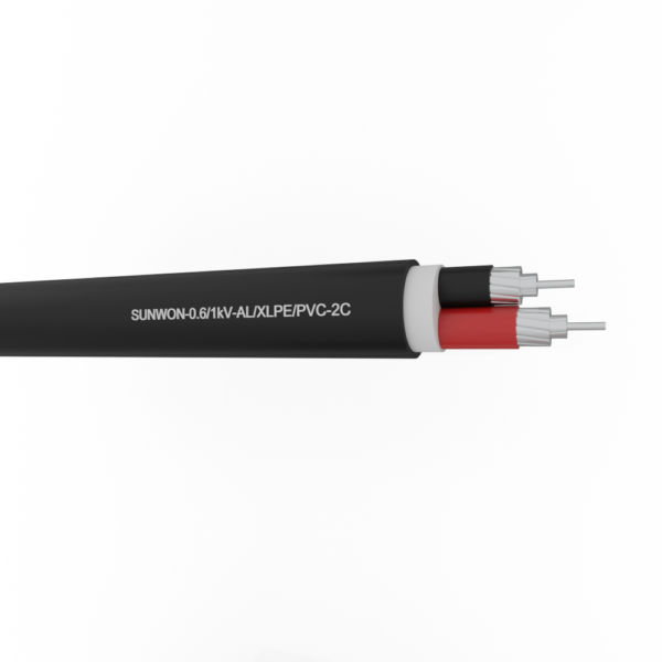 2-cores sheathed aluminum cable SUNWON-0.6/1kV-AL/XLPE/PVC 2