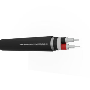 2-cores underground aluminum cable SUNWON-0.6/1kV-AL/XLPE/PVC/DSTA/PVC 2