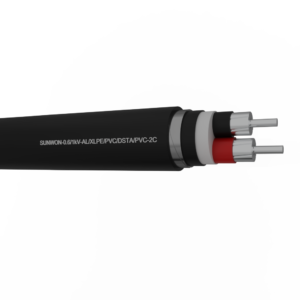 2-cores underground aluminum cable SUNWON-0.6/1kV-AL/XLPE/PVC/DSTA/PVC 2 3