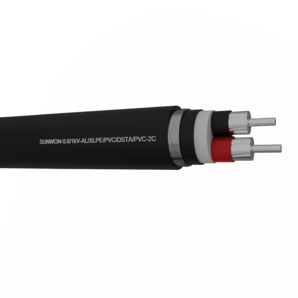 2-cores underground aluminum cable SUNWON-0.6/1kV-AL/XLPE/PVC/DSTA/PVC 2 3