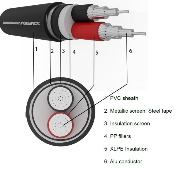 2-cores underground aluminum cable SUNWON-0.6/1kV-AL/XLPE/PVC/DSTA/PVC structure
