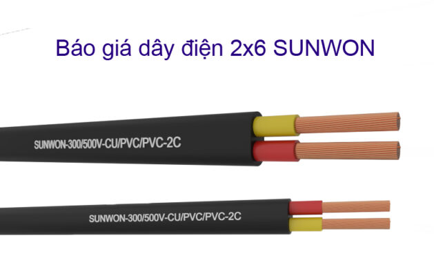 wire-electricity-2x6